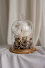 Load image into Gallery viewer, The Muse