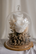 Load image into Gallery viewer, The Muse