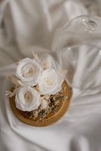 Load image into Gallery viewer, The Muse