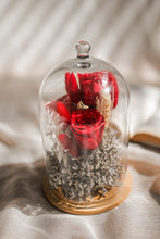 Load image into Gallery viewer, Red-y to Love