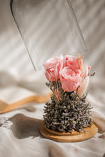 Load image into Gallery viewer, Blushing Beauty