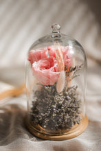 Load image into Gallery viewer, Blushing Beauty