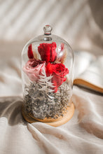 Load image into Gallery viewer, Red-y to Love