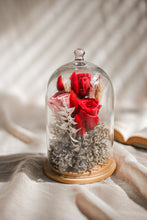 Load image into Gallery viewer, Red-y to Love