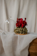 Load image into Gallery viewer, flower dome with nationwide shipping