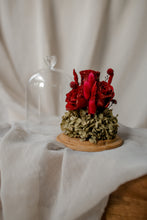 Load image into Gallery viewer, Decorative arrangement of red flowers and greenery on a wooden base with a clear glass dome.
