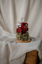 Load image into Gallery viewer, Glass dome with red roses and green leaves on a white fabric background