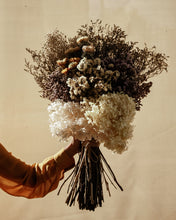 Load image into Gallery viewer, Ana