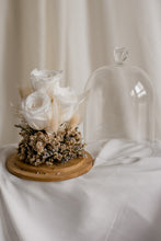 Load image into Gallery viewer, The Muse
