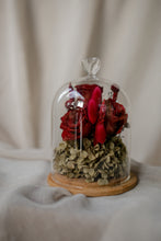 Load image into Gallery viewer, Glass dome with red roses and greenery on a white surface
