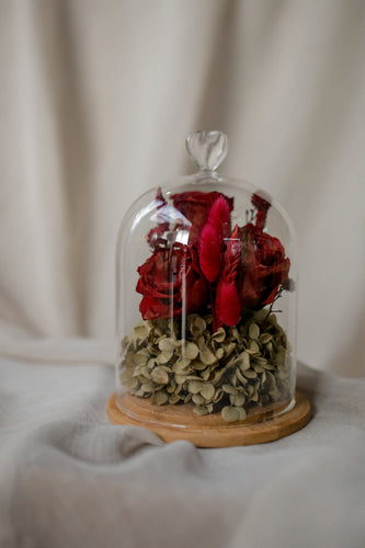 Glass dome with red roses and greenery on a white surface
