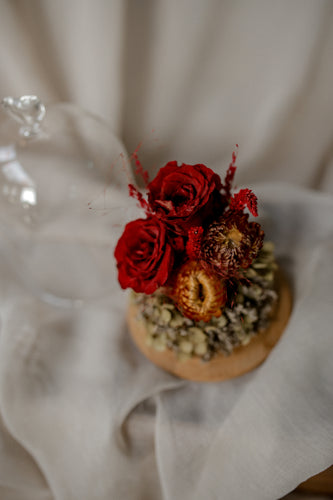Twin Flames dried flower dome with 2 burgundy roses on olive hydrangea and strawflowers