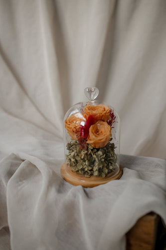 Golden Hour dried flower dome with tangerine preserved roses and olive-green hydrangea
